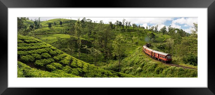 Sri Lanka Nanuoya Tea fields and train Framed Mounted Print by Sonny Ryse