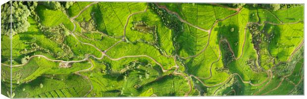 Sri Lanka tea fields aerial Canvas Print by Sonny Ryse