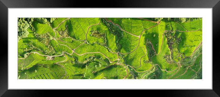 Sri Lanka tea fields aerial Framed Mounted Print by Sonny Ryse