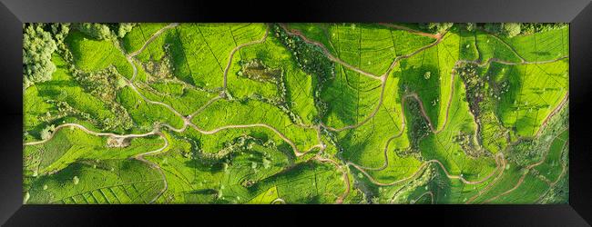 Sri Lanka tea fields aerial Framed Print by Sonny Ryse