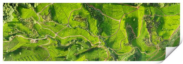 Sri Lanka tea fields aerial Print by Sonny Ryse