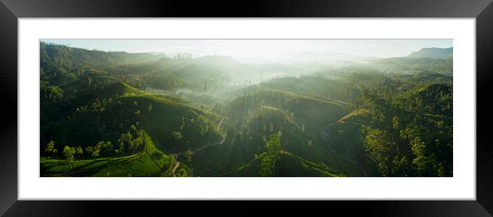 Sri Lanka Tea Fields 2 Framed Mounted Print by Sonny Ryse