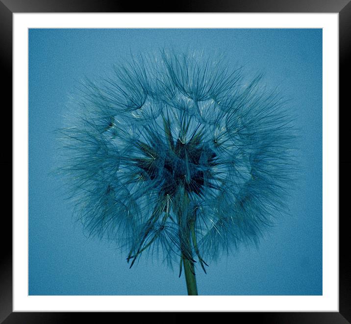 Shades of blue Framed Mounted Print by Mark Hobson