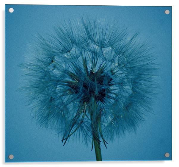 Shades of blue Acrylic by Mark Hobson