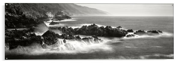 BIG SUR CALIFORNIA COAST Black and white Acrylic by Sonny Ryse