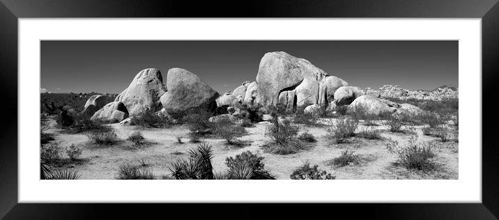 Joshua Tree National Park Black and white USA 2 Framed Mounted Print by Sonny Ryse