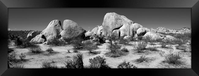 Joshua Tree National Park Black and white USA 2 Framed Print by Sonny Ryse