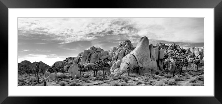 Joshua Tree National Park Black and white USA 4 Framed Mounted Print by Sonny Ryse