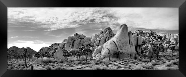 Joshua Tree National Park Black and white USA 4 Framed Print by Sonny Ryse