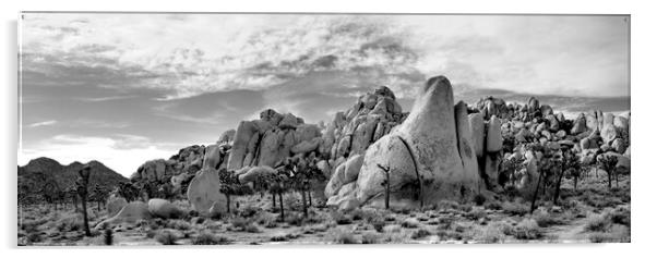 Joshua Tree National Park Black and white USA 4 Acrylic by Sonny Ryse