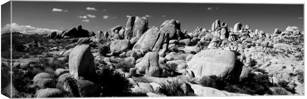 Joshua Tree National Park Black and white Canvas Print by Sonny Ryse