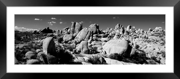 Joshua Tree National Park Black and white Framed Mounted Print by Sonny Ryse