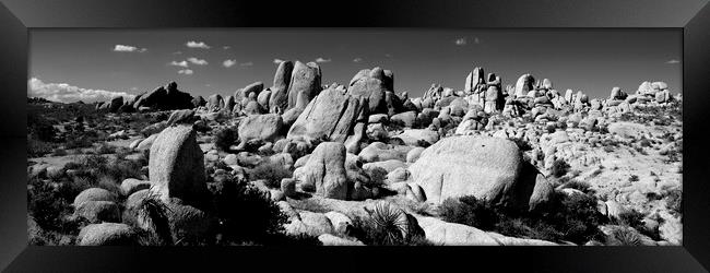Joshua Tree National Park Black and white Framed Print by Sonny Ryse