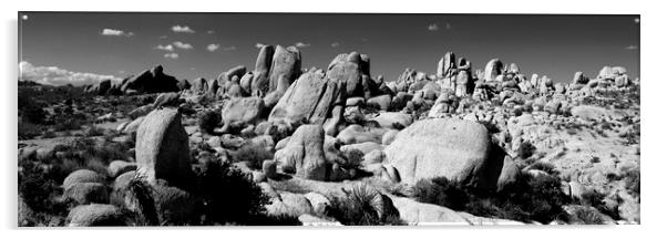 Joshua Tree National Park Black and white Acrylic by Sonny Ryse