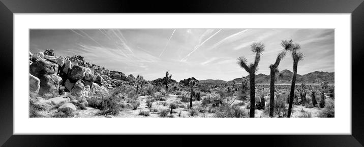 Joshua Tree national park Black and white USA Framed Mounted Print by Sonny Ryse