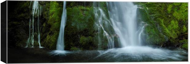 Madison Falls Olympic National Park Canvas Print by Sonny Ryse