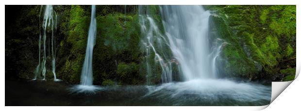 Madison Falls Olympic National Park Print by Sonny Ryse