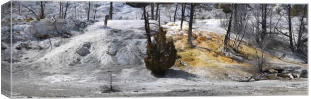 Mammoth Hot Sping Yellowstone National Park 2 Canvas Print by Sonny Ryse