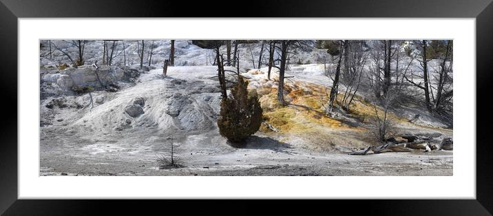 Mammoth Hot Sping Yellowstone National Park 2 Framed Mounted Print by Sonny Ryse