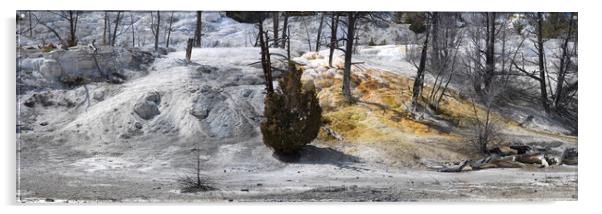 Mammoth Hot Sping Yellowstone National Park 2 Acrylic by Sonny Ryse