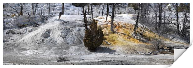 Mammoth Hot Sping Yellowstone National Park 2 Print by Sonny Ryse