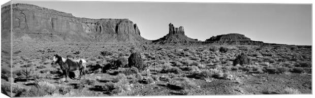 Monument Valley Horse Black and White Canvas Print by Sonny Ryse