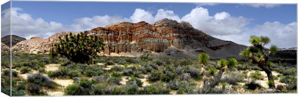 Red Rock State Park USA Canvas Print by Sonny Ryse