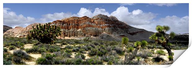 Red Rock State Park USA Print by Sonny Ryse