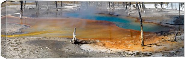 Yellowstone National Park hot spring Canvas Print by Sonny Ryse