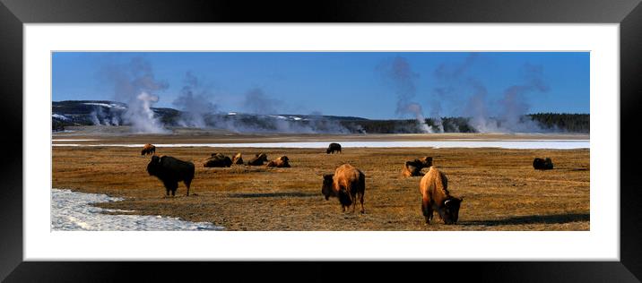 Yellowstone National Park Byson and Geysers USA Framed Mounted Print by Sonny Ryse