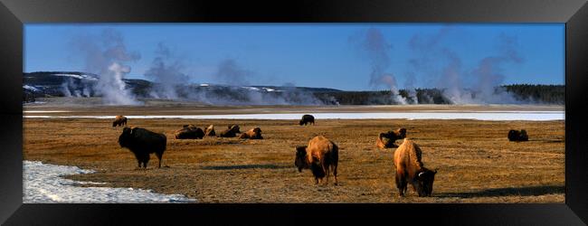 Yellowstone National Park Byson and Geysers USA Framed Print by Sonny Ryse