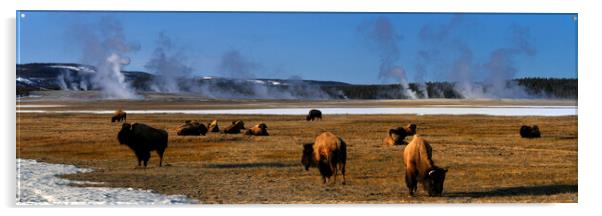 Yellowstone National Park Byson and Geysers USA Acrylic by Sonny Ryse