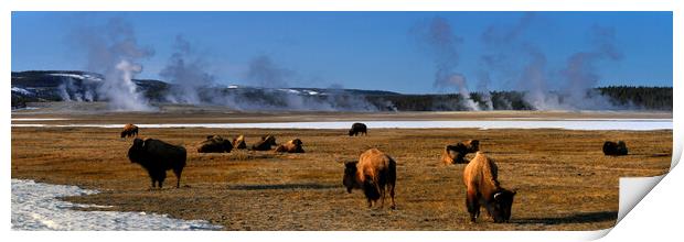 Yellowstone National Park Byson and Geysers USA Print by Sonny Ryse
