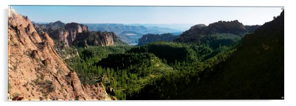 Zion National Park valleys USA Acrylic by Sonny Ryse