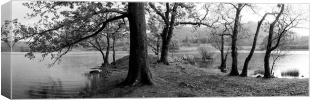 Rydal water in the lake district black and white Canvas Print by Sonny Ryse