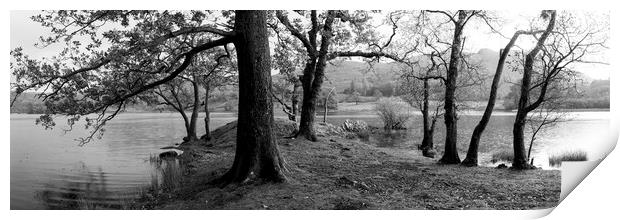 Rydal water in the lake district black and white Print by Sonny Ryse