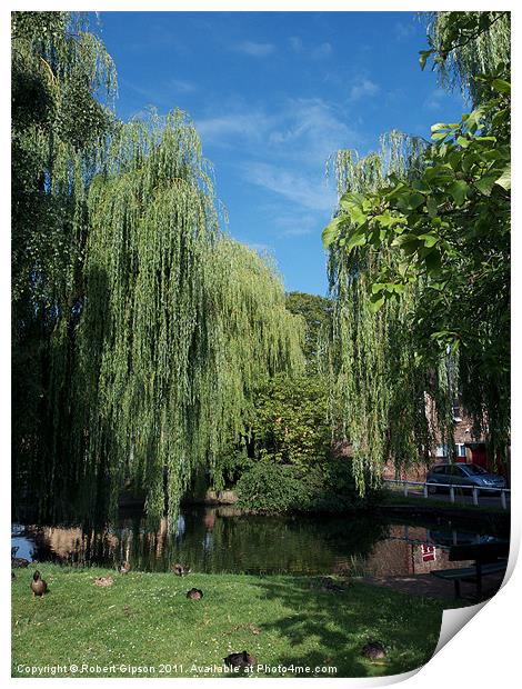 Village Pond in Haxby Print by Robert Gipson