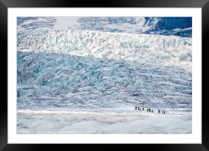 Icewalk on Athabasca glacier, Columbia icefield Framed Mounted Print by Delphimages Art