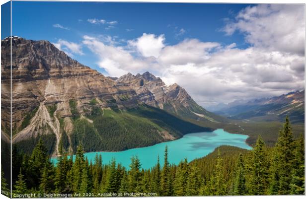 Canada. Peyto lake in Banff National Park, Alberta Canvas Print by Delphimages Art