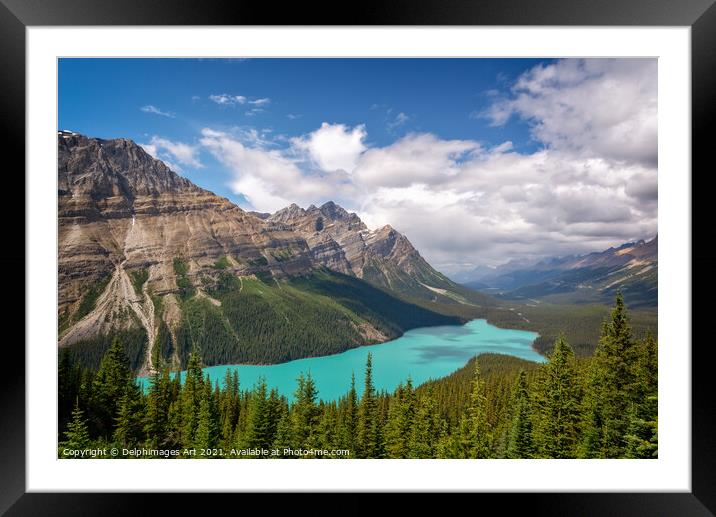 Canada. Peyto lake in Banff National Park, Alberta Framed Mounted Print by Delphimages Art