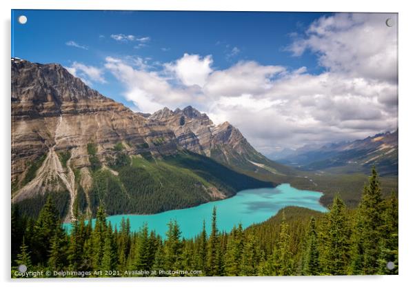 Canada. Peyto lake in Banff National Park, Alberta Acrylic by Delphimages Art