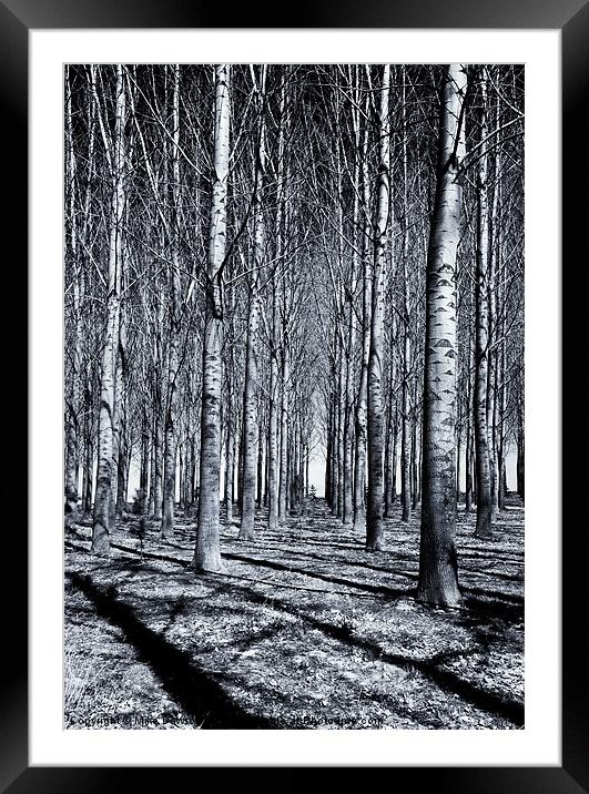Shadows and Lines Framed Mounted Print by Mike Dawson