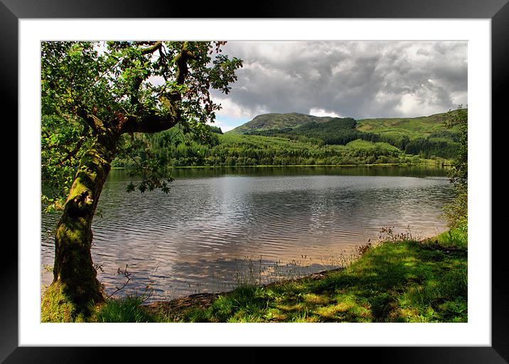 By The Side of Loch Ard Framed Mounted Print by Jacqi Elmslie