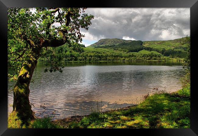 By The Side of Loch Ard Framed Print by Jacqi Elmslie
