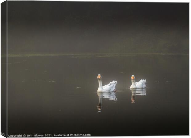Early morning on Keston Ponds (near Bromley Kent) with 2 geese floating by Canvas Print by johnseanphotography 