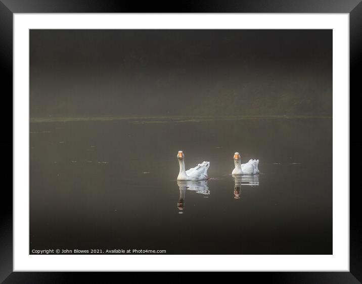 Early morning on Keston Ponds (near Bromley Kent) with 2 geese floating by Framed Mounted Print by johnseanphotography 