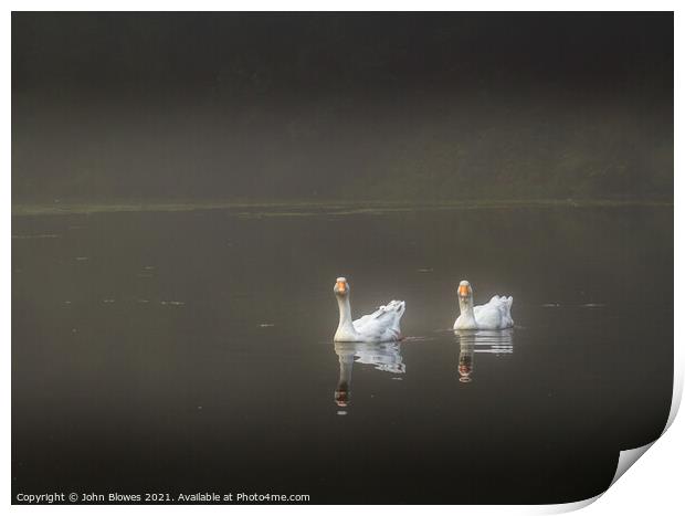 Early morning on Keston Ponds (near Bromley Kent) with 2 geese floating by Print by johnseanphotography 