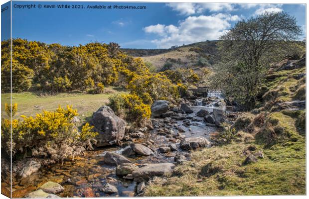 Stream by Meldon reservoir Canvas Print by Kevin White