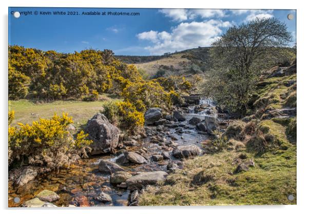 Stream by Meldon reservoir Acrylic by Kevin White