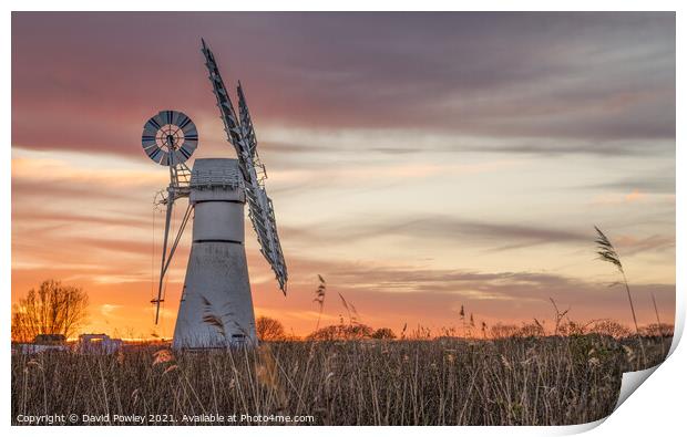 Thurne Mill Sunset Norfolk Broads Print by David Powley